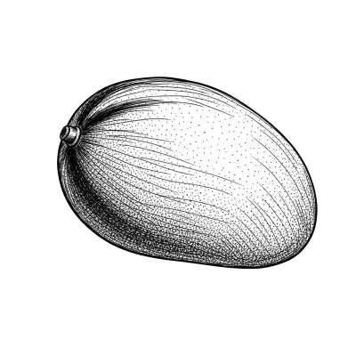 Imagen PNG para descargar